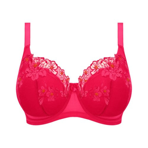 Elomi Teagan Azalea Taille slip