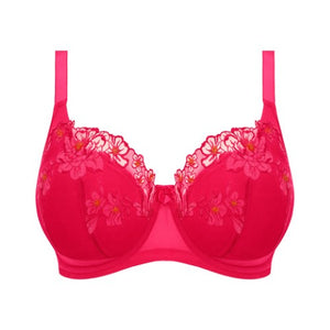 Elomi Teagan Azalea Taille slip