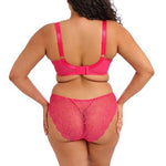Elomi Darcie Brazilian