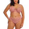 Elomi Teagan Ash Rose Taille slip