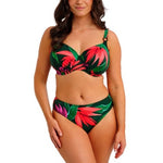 Fantasie Pichola Bikinibroek